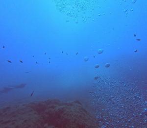 DCIM100GOPROGOPR0625.JPG