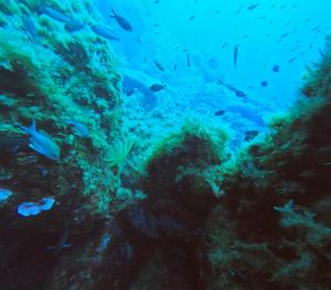 DCIM100GOPROGOPR0627.JPG