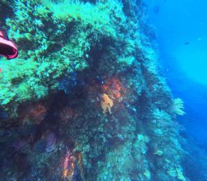 DCIM100GOPROGOPR0631.JPG