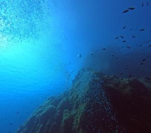 DCIM100GOPROGOPR0633.JPG