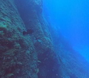 DCIM100GOPROGOPR0634.JPG