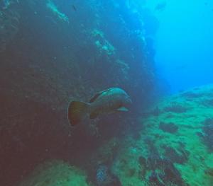 DCIM100GOPROGOPR0638.JPG