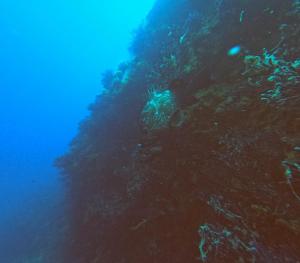 DCIM100GOPROGOPR0639.JPG