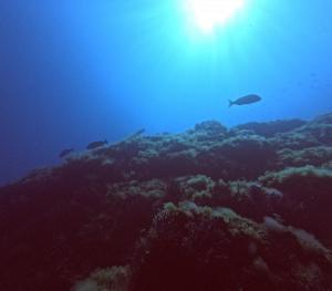 DCIM100GOPROGOPR0641.JPG