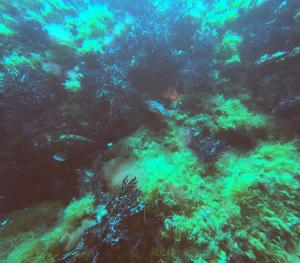DCIM100GOPROGOPR0642.JPG