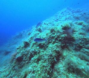 DCIM100GOPROGOPR0644.JPG