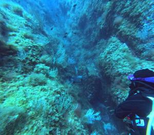 DCIM100GOPROGOPR0645.JPG