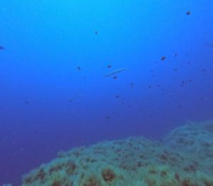 DCIM100GOPROGOPR0646.JPG