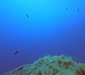 DCIM100GOPROGOPR0648.JPG