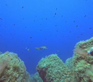 DCIM100GOPROGOPR0650.JPG