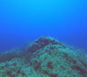 DCIM100GOPROGOPR0655.JPG