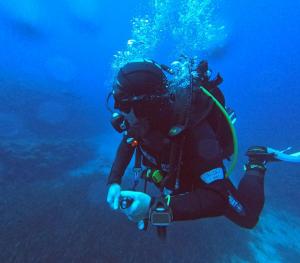 DCIM100GOPROGOPR0667.JPG