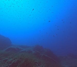 DCIM100GOPROGOPR0685.JPG