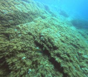 DCIM100GOPROGOPR0697.JPG