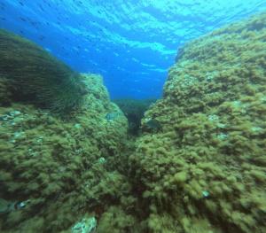 DCIM100GOPROGOPR0698.JPG