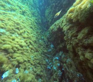 DCIM100GOPROGOPR0699.JPG