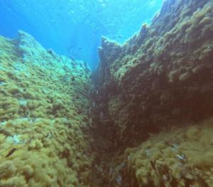 DCIM100GOPROGOPR0700.JPG