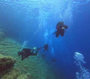 DCIM100GOPROGOPR0703.JPG