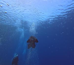 DCIM100GOPROGOPR0704.JPG