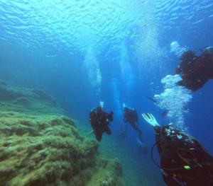 DCIM100GOPROGOPR0705.JPG