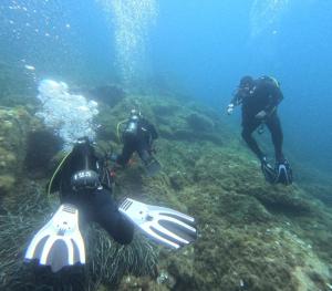 DCIM101GOPROGOPR1699.JPG