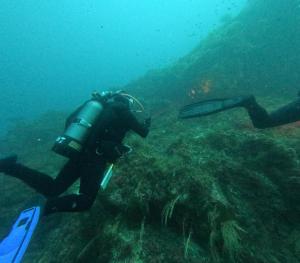 DCIM101GOPROGOPR1713.JPG