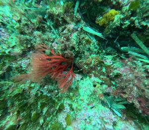 DCIM101GOPROGOPR1716.JPG