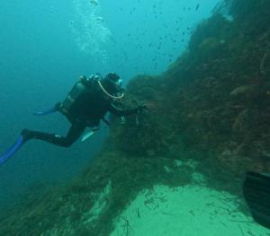 DCIM101GOPROGOPR1717.JPG