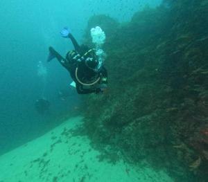 DCIM101GOPROGOPR1719.JPG