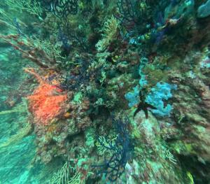 DCIM101GOPROGOPR1720.JPG