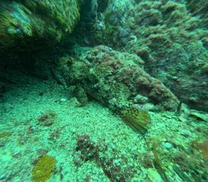 DCIM101GOPROGOPR1721.JPG
