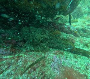 DCIM101GOPROGOPR1722.JPG