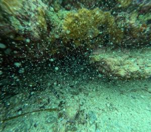 DCIM101GOPROGOPR1725.JPG