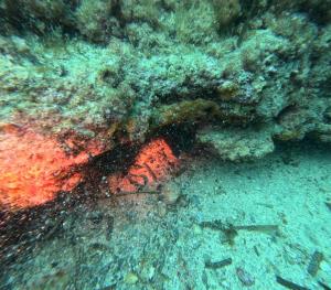DCIM101GOPROGOPR1726.JPG