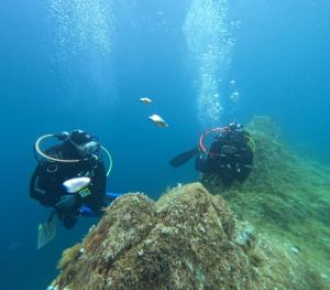 DCIM101GOPROGOPR1727.JPG