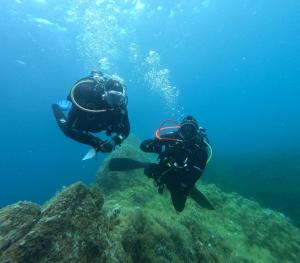 DCIM101GOPROGOPR1729.JPG