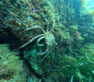 DCIM101GOPROGOPR1731.JPG