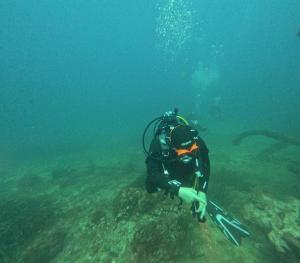 DCIM101GOPROGOPR1677.JPG