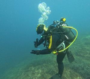 DCIM101GOPROGOPR1681.JPG