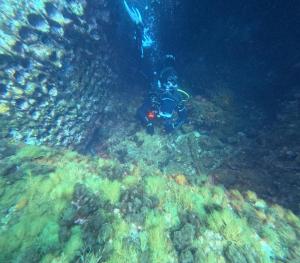 DCIM101GOPROGOPR1684.JPG