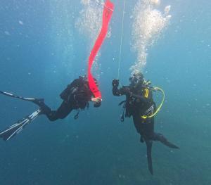 DCIM101GOPROGOPR1689.JPG