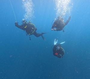 DCIM101GOPROGOPR1698.JPG