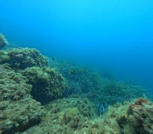 DCIM101GOPROGOPR1702.JPG
