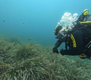 DCIM101GOPROGOPR1704.JPG