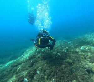 DCIM101GOPROGOPR1705.JPG