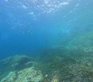 DCIM101GOPROGOPR1706.JPG